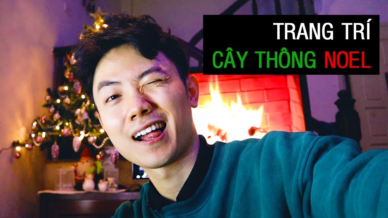 (Vlog) Trang trí cây thông đón Giáng Sinh cùng mình – Alpha Ang Vlog – Decorating my Christmas Tree